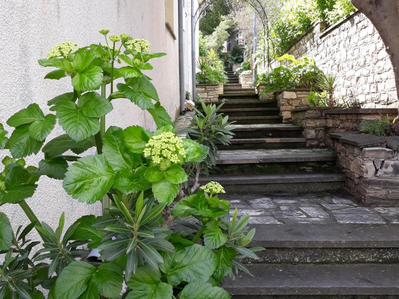 Hostal Iosiphis Stonebuilt House Pano Lefkara Exterior foto